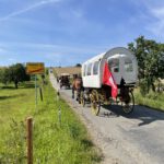 Pferde lehren Frieden – Friedenstreck begeistert Thüringen