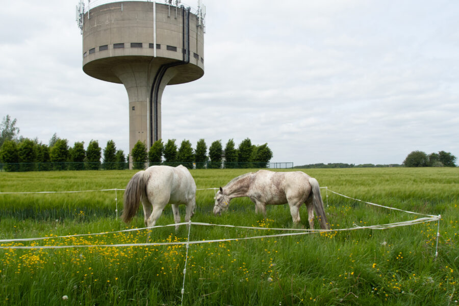 Wasserturm und zwei Pferde