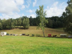 Rast am Straßenrand