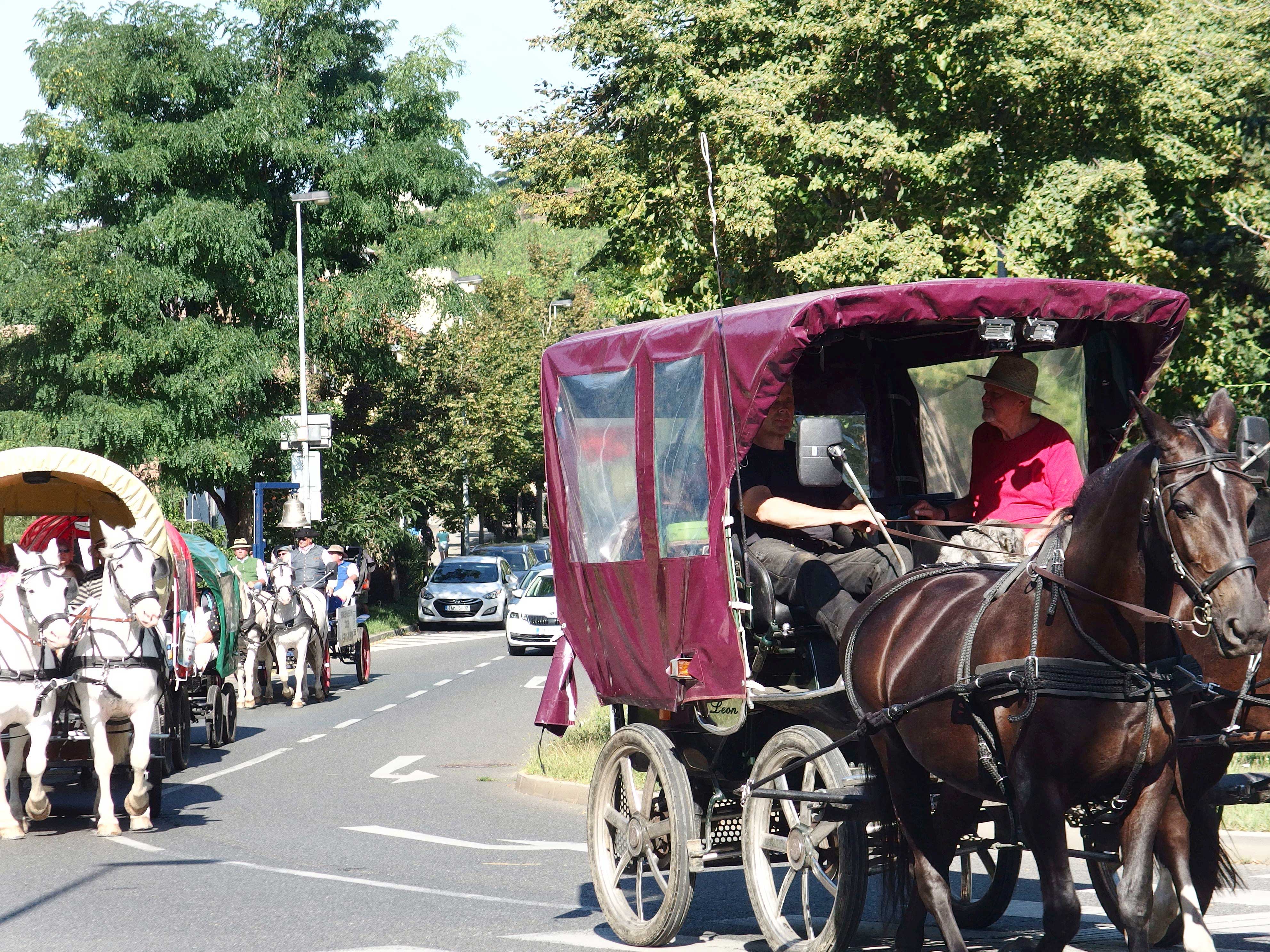 Stadtrundfahrt in Troja Prag