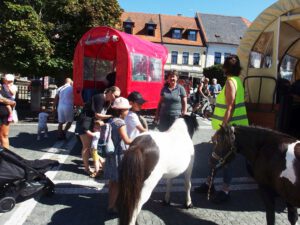 Auf dem Markt