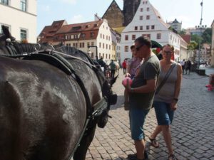 Marktplatz Pirna