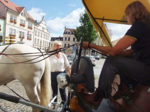 Auf dem Markt 05.08.