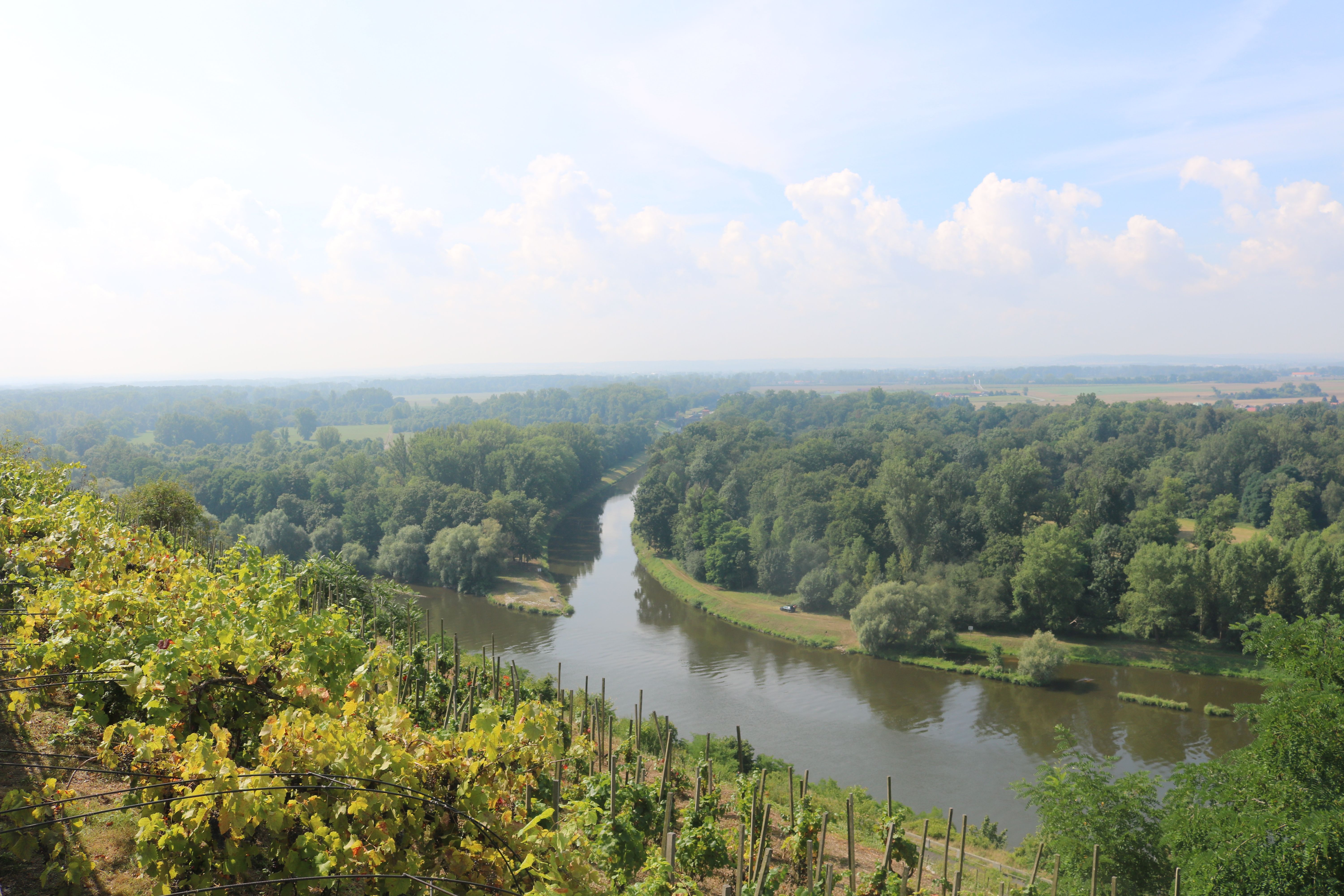 Zusammenfluss von Moldau und Elbe