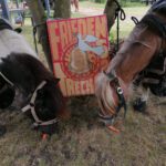 9.5. die ersten normalen Tages des Trecks