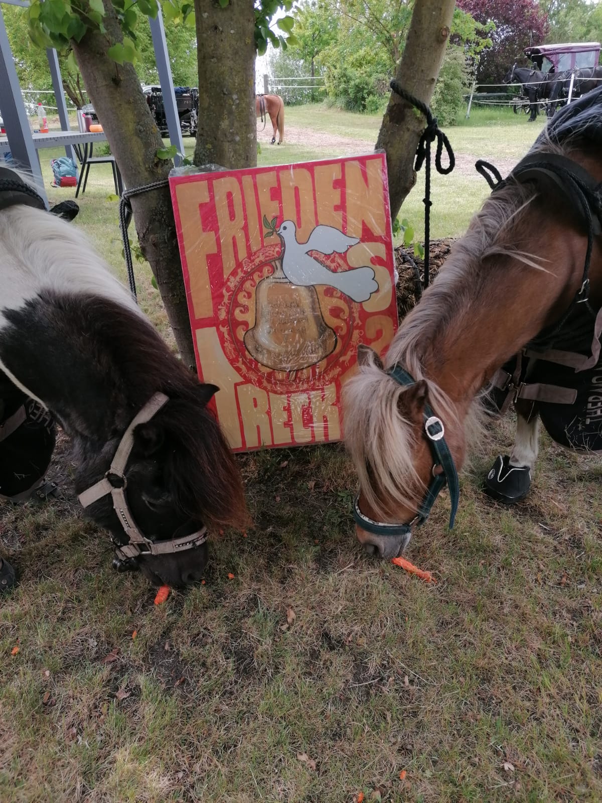 9.5. die ersten normalen Tages des Trecks