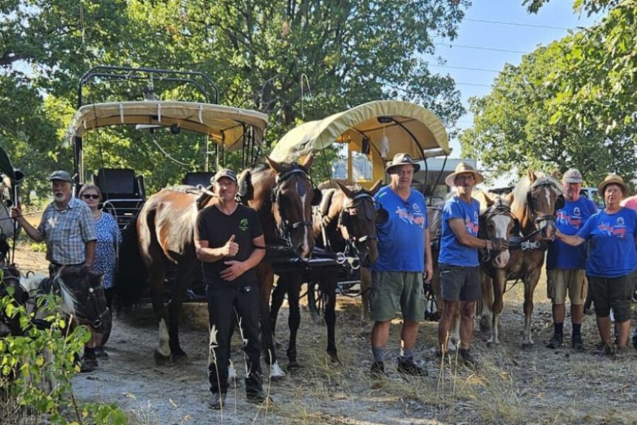 Pressemitteilung: Der Friedensglocken-Pferdetreck rollt wieder! Weiterfahrt in Bulgarien nach vier Wochen Stillstand