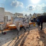vom Pferdetreck zum Maultierzug (Helmut Kautz)