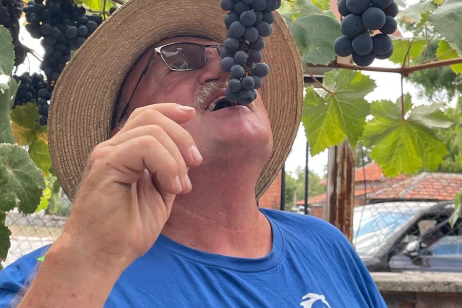 Mitglieder – Schulz, Bernd